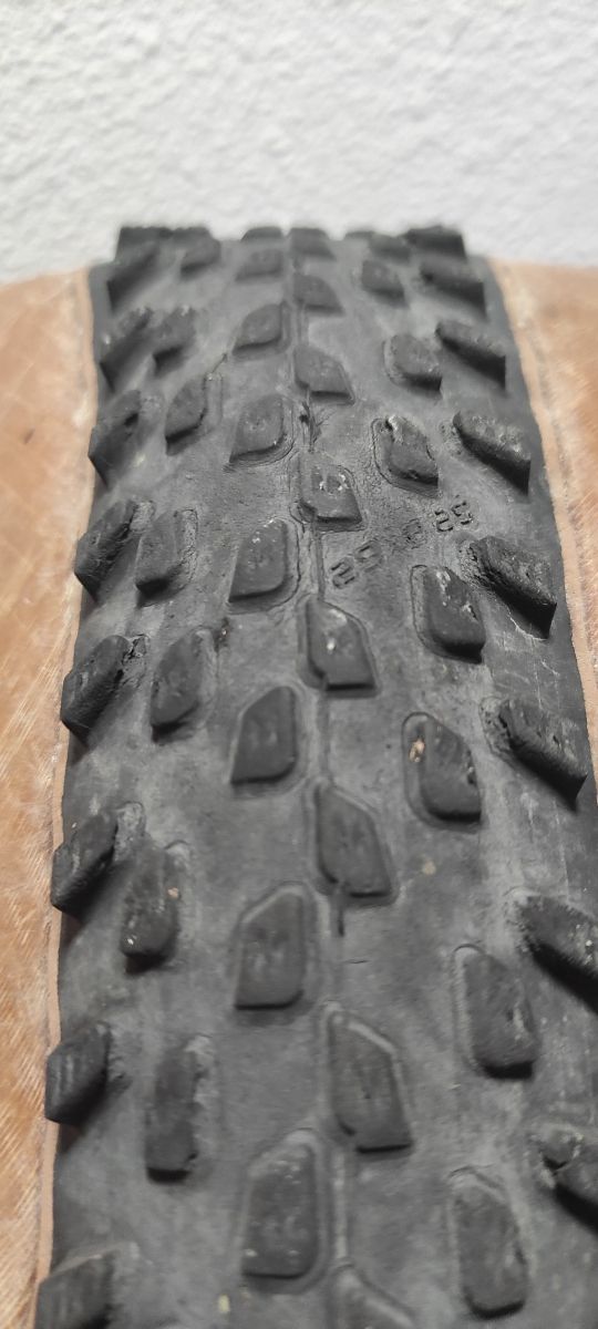 Cubierta Schwalbe Racing Ray 29x2.25