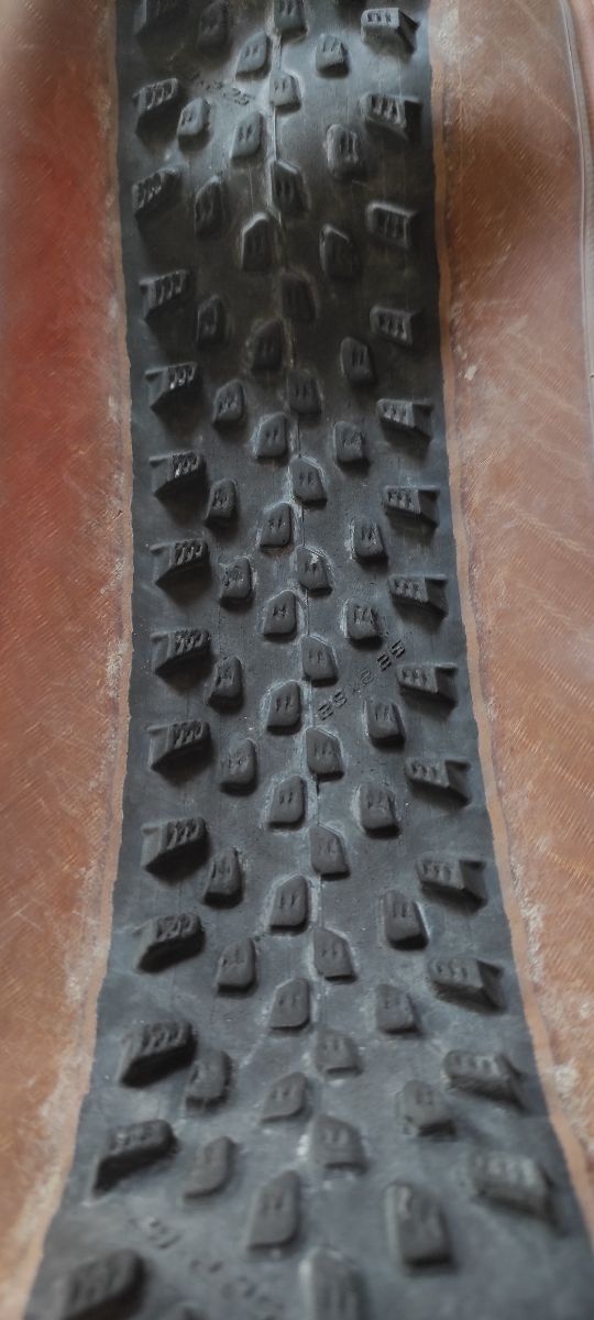 Cubierta Schwalbe Racing Ray 29x2.25