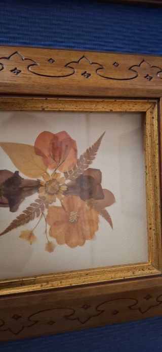 2 Cuadros Flores Secas Prensadas Marco Madera.