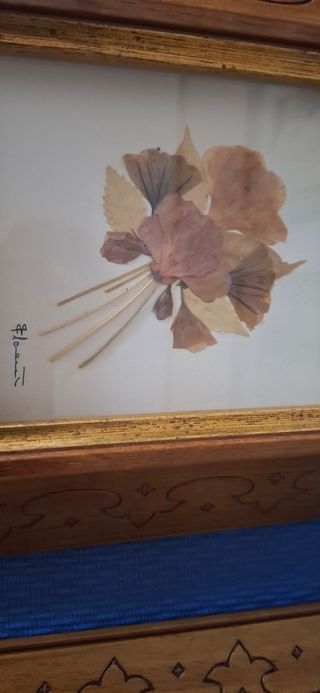 2 Cuadros Flores Secas Prensadas Marco Madera.