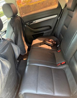 Audi A6 2010