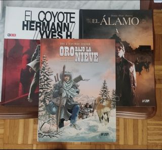ENVIO GRATIS LOTE WESTERN YERMO ECC