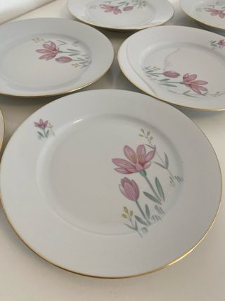 Set 6 piatti dessert in porcellana cm 19,5