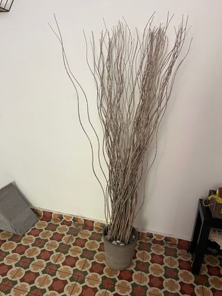 Planta decorativa de ramas secas