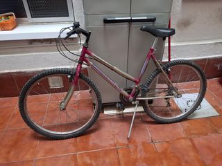 Bicicleta