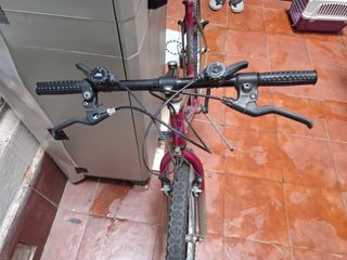 Bicicleta