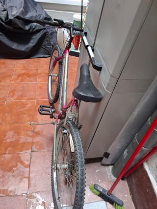 Bicicleta