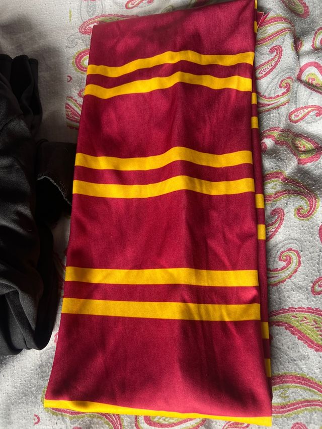 Disfraz Harry Potter