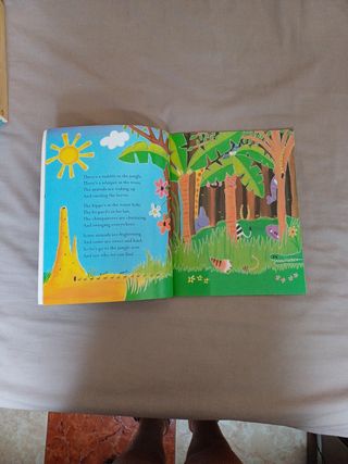 Cuento o libro en inglés