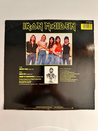 Iron Maiden Somewhere in Time y Wasted Years Vinil