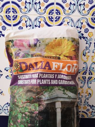 Escardillo Bellota + Sustrato Dalia Flor 50L