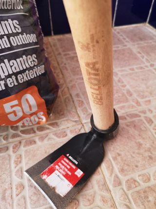 Escardillo Bellota + Sustrato Dalia Flor 50L