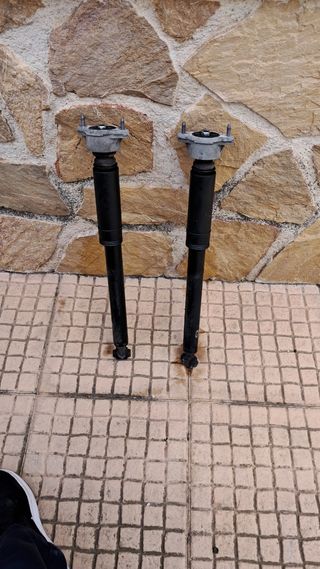 Amortiguadores Traseros Mercedes W204