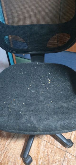 Silla giratoria de escritorio Urge vender