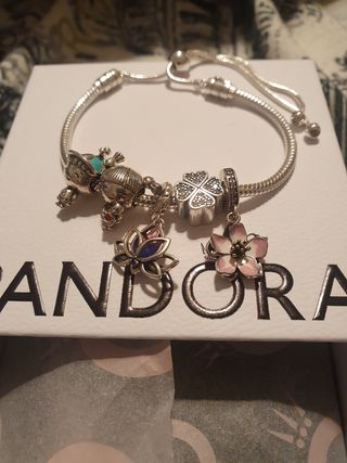 Pulsera Pandora Plata con charms
