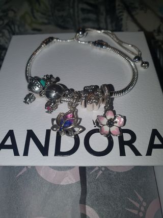 Pulsera Pandora Plata con charms