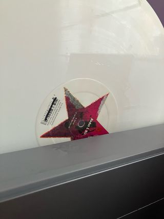 Vinilo Adult Records Buda & Vic