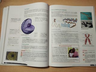 Biología y Geología 4º ESO. Libro del estudiant...