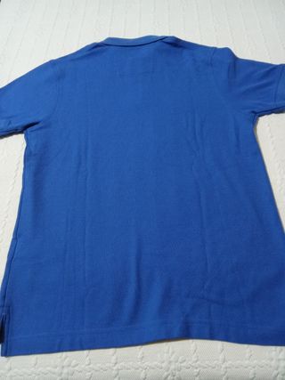 Polo Pedro del Hierro Azul