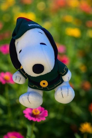 Peluche Snoopy Vestito Robin Hood Vintage