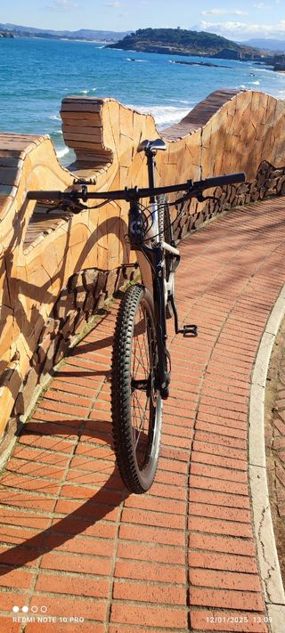 Bicicleta Cannondale scalpel carbono 3 años 2023