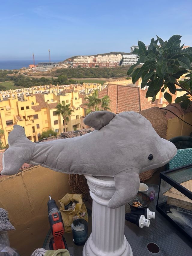 Peluche Golfinho Cinzento