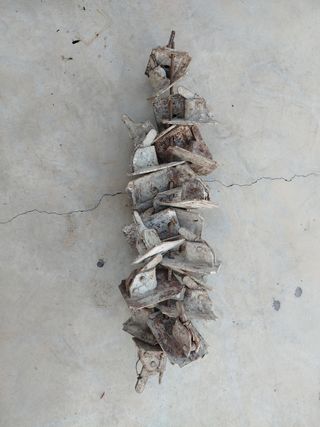 Ranas de encofrado, tal cual foto, todas