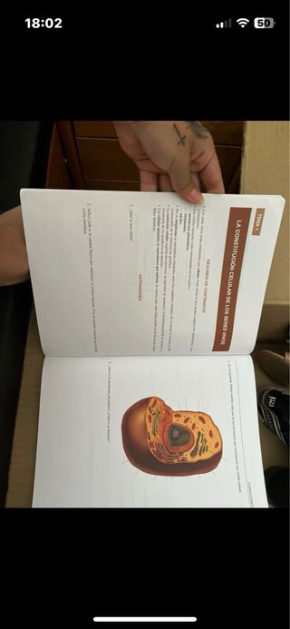 Anatomía y Fisiología Humanas Básicas. Cfgm