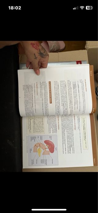 Anatomía y Fisiología Humanas Básicas. Cfgm