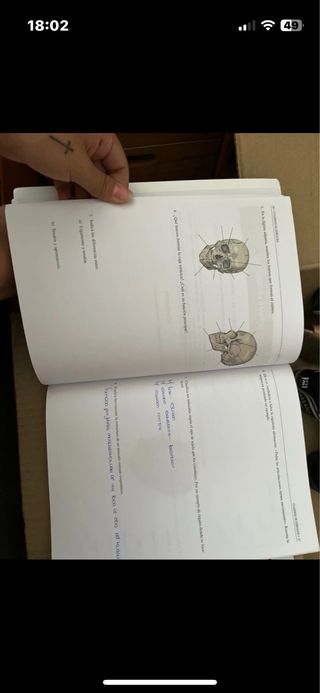 Anatomía y Fisiología Humanas Básicas. Cfgm