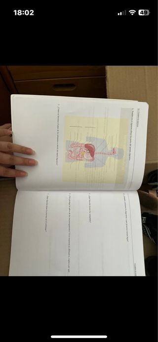 Anatomía y Fisiología Humanas Básicas. Cfgm