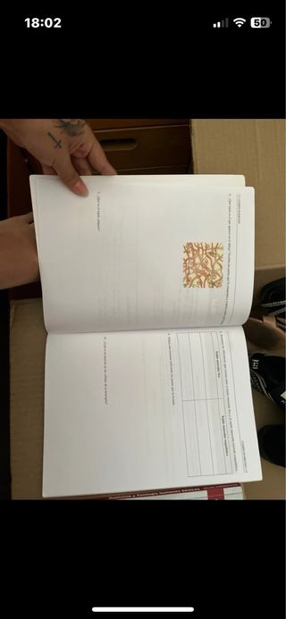 Anatomía y Fisiología Humanas Básicas. Cfgm