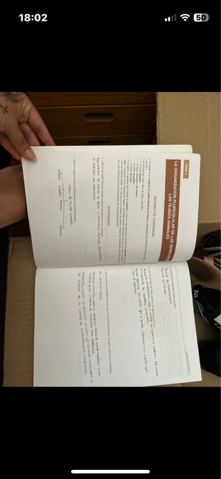 Anatomía y Fisiología Humanas Básicas. Cfgm