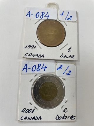 Lotto 2 Monete Canada A-084