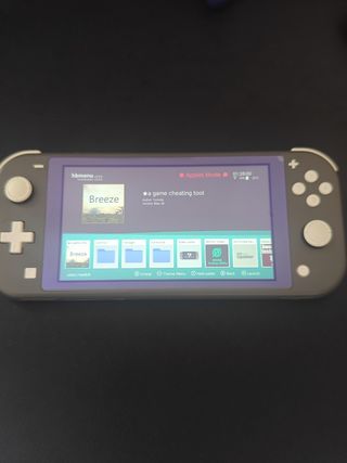 Nintendo Switch Lite Grigio atmosphere
