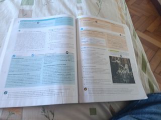 Lengua castellana y Literatura  3 ESO