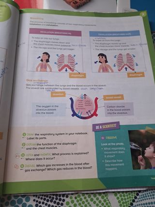 6 PRIMARIA NATURAL SCIENCE