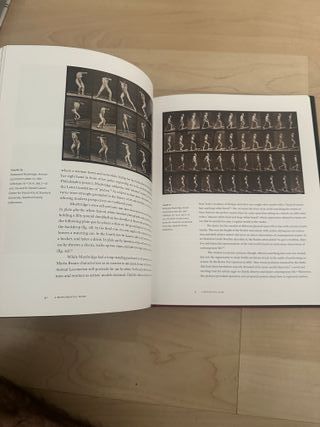 Indecent Exposures: Eadweard Muybridge's "Anima...