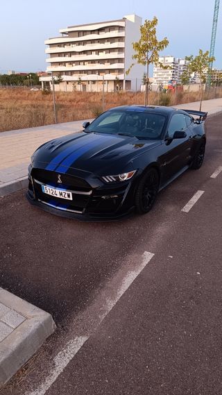 Mustang 5.0 V8 manual 
