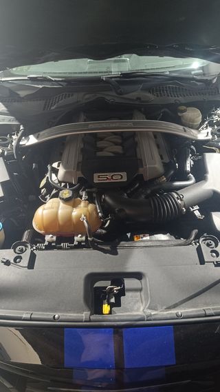 Mustang 5.0 V8 manual 