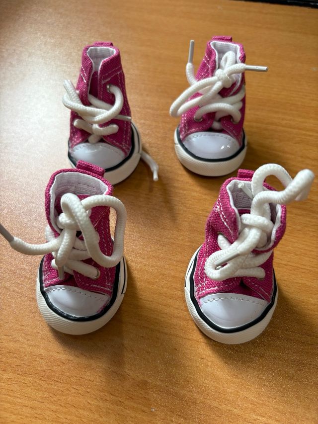 Zapatillas Converse para Perro Toy