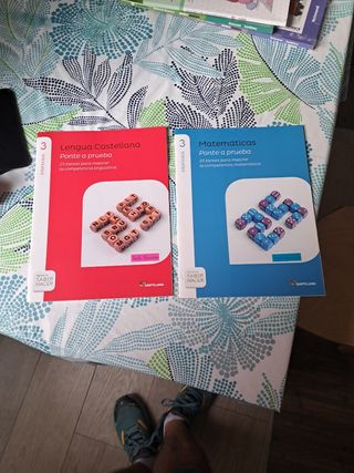 Pobre a prueba matemáticas 3 Y lengua 3