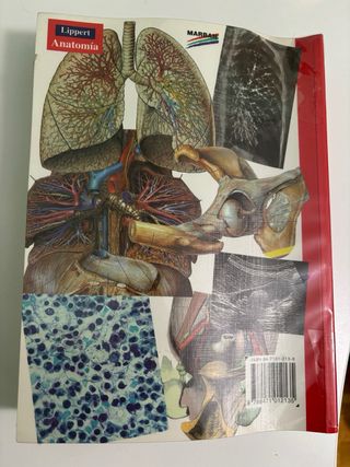 Anatomia 4b* Ed. - Estructura y Morfologia del ...