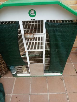 Pajarera verde y blanca