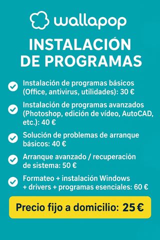 Servicios Informáticos a Domicilio
