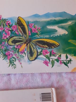 Se vende lote de 3 libros de los jóvenes castores 