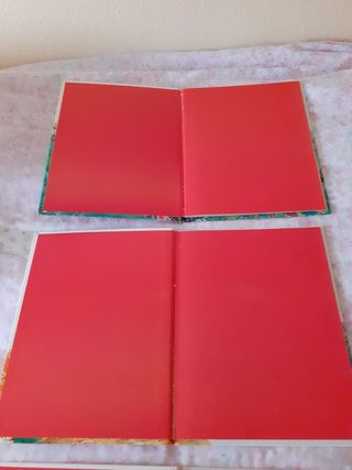 Se vende lote de 3 libros de los jóvenes castores 