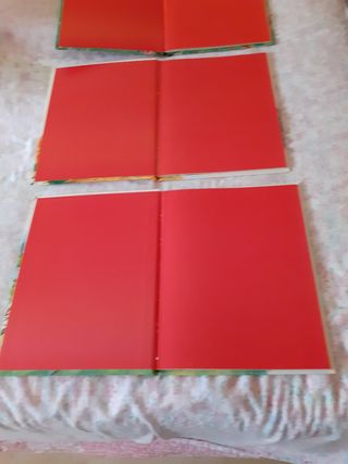 Se vende lote de 3 libros de los jóvenes castores 