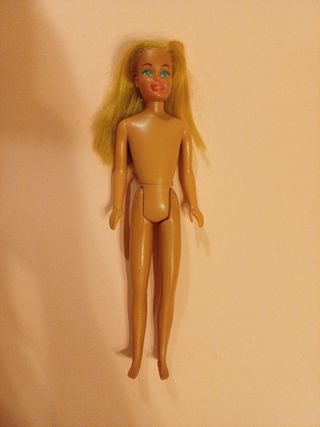 Skipper Barbie Malibu