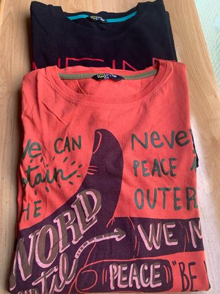 Lote 2 camiseras de manga larga con dibujo.